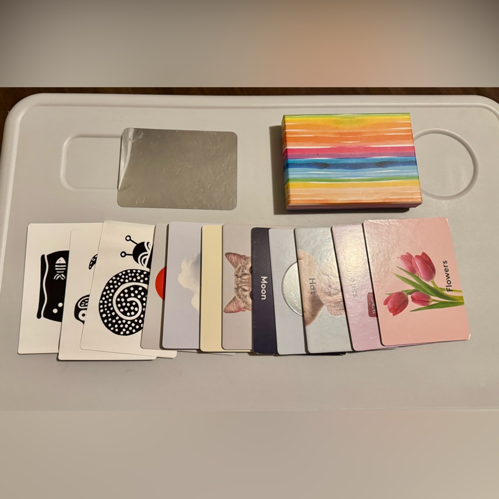 Colorful Animal and Nature Flashcards Set